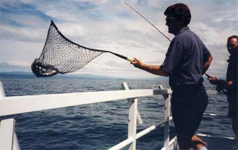 Fishing in New Zealand makes traveling worthwhile