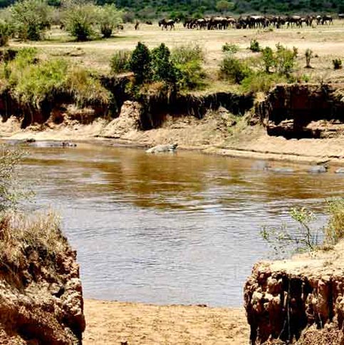 Travel Kenya - Disabled Travelers Guide - Big Daddy... Kind of the Crocidiles