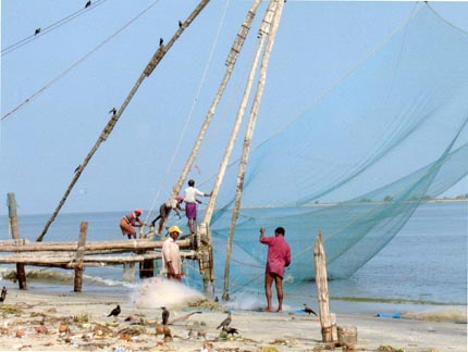 disabled travel wheelchair Cochin India nets2