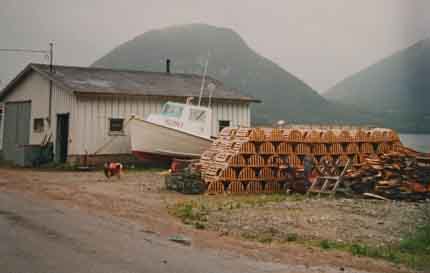 Travel disabled in wheelchair to French Cove Canada