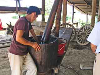 wheelchair travel disabled sesame factory thailand