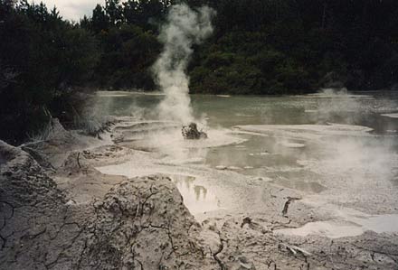 disabled travel wheelchair new zealand nan nate waitapo pools