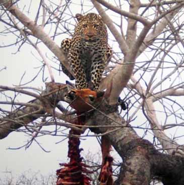 Breakfast in South Africa